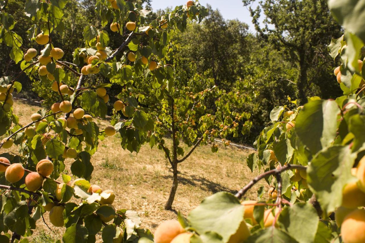 Agriturismo Aia Leccioni Micciano Экстерьер фото