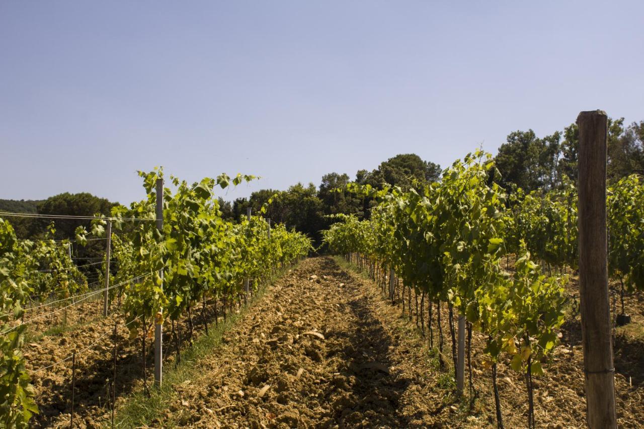 Agriturismo Aia Leccioni Micciano Экстерьер фото