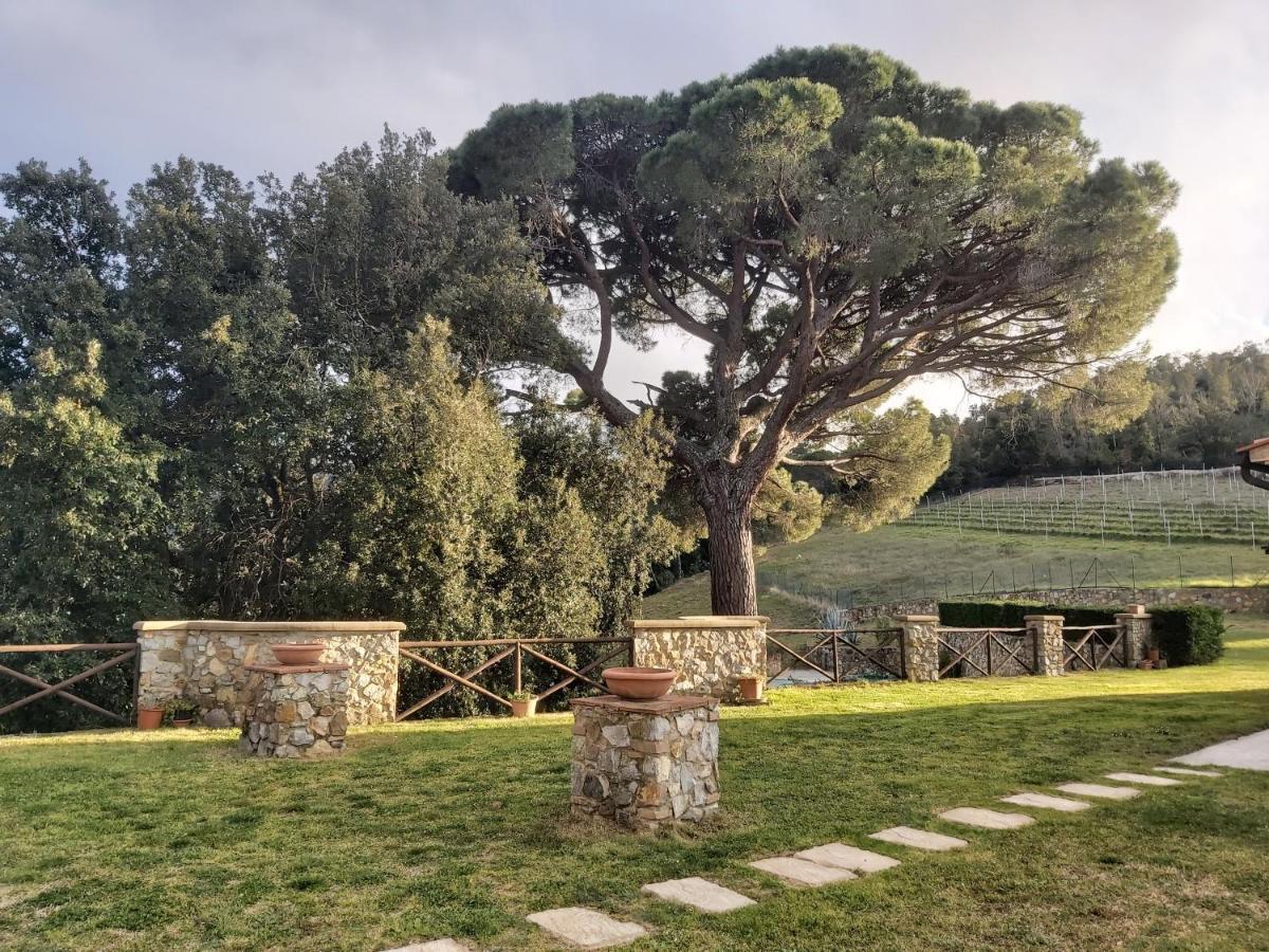 Agriturismo Aia Leccioni Micciano Экстерьер фото