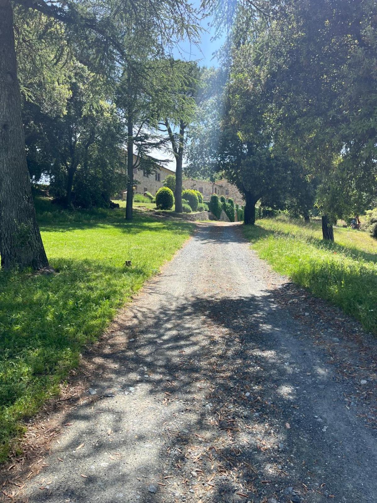 Agriturismo Aia Leccioni Micciano Экстерьер фото